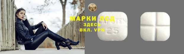 ПСИЛОЦИБИНОВЫЕ ГРИБЫ Абинск