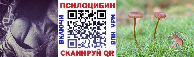 Псилоцибиновые грибы ЛСД  купить закладку  Новопавловск 